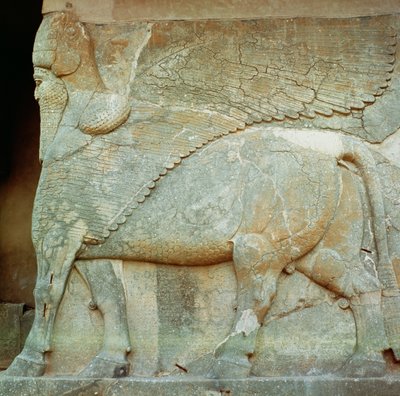 Bassorilievo di un toro antropomorfo da Assyrian